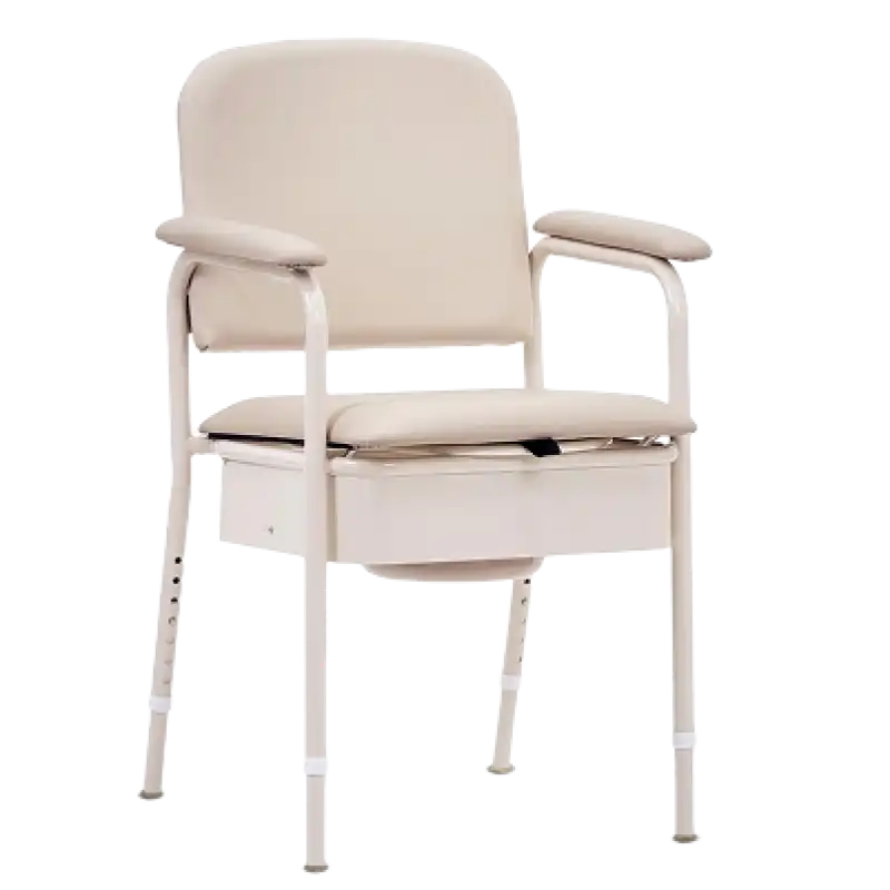 Aarogyaa Bharat Elegant Bedside Commode Chair (RMU122)