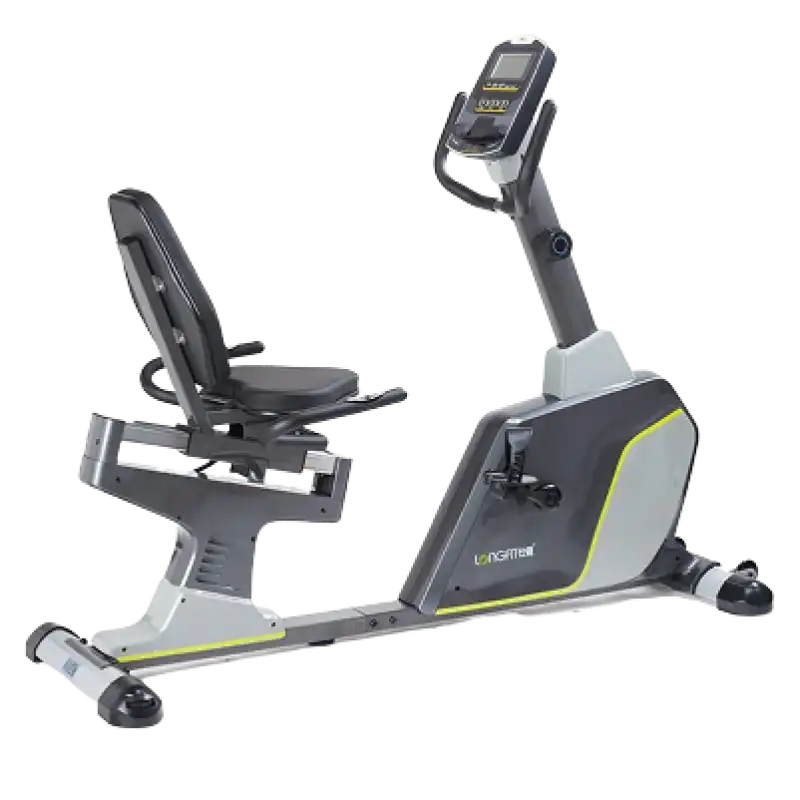 Recumbent Bike Professional